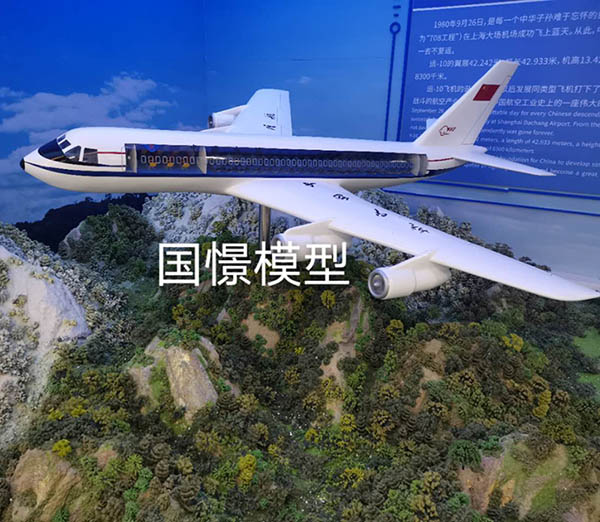 麻江县飞机模型