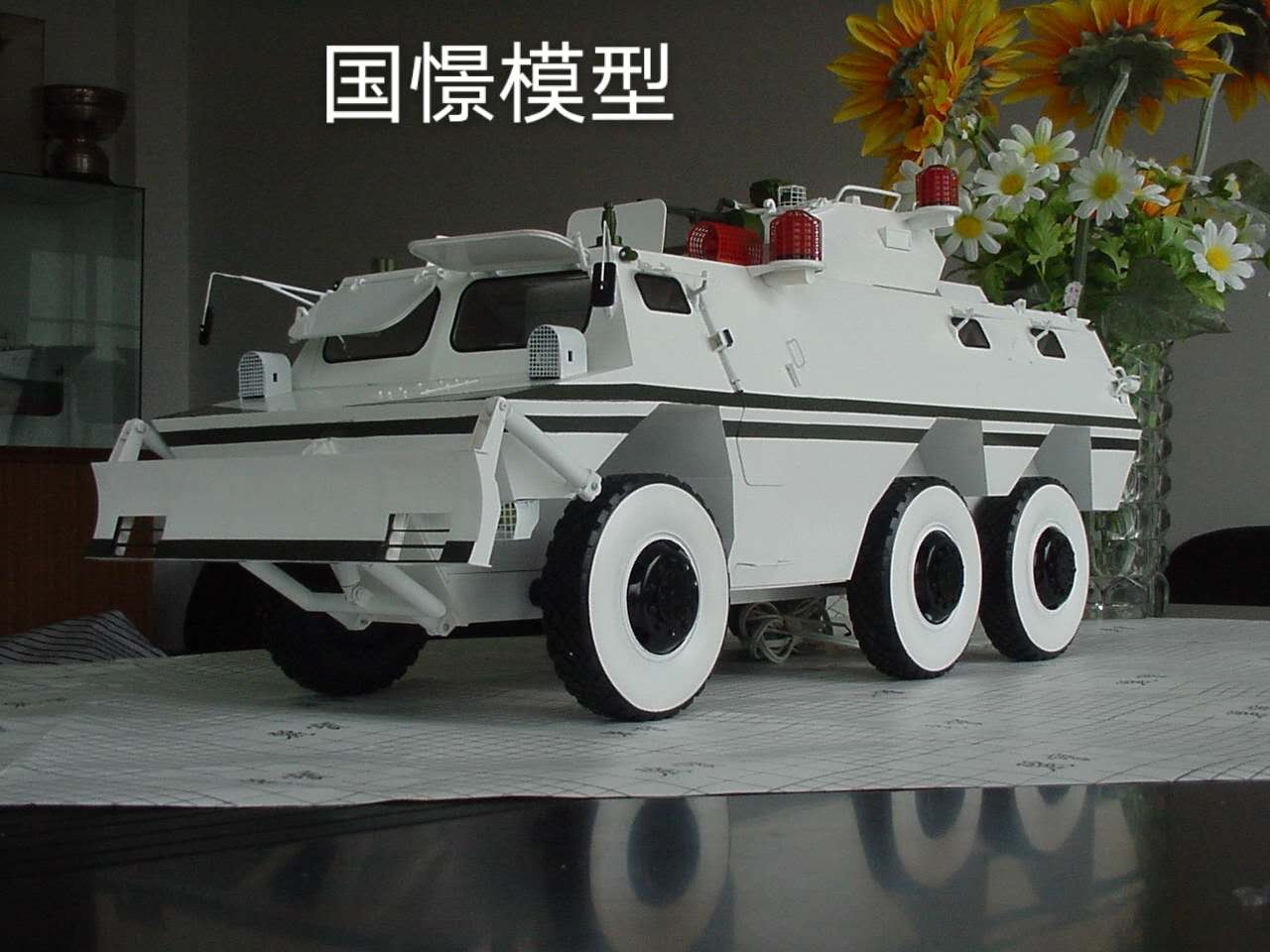 麻江县军事模型