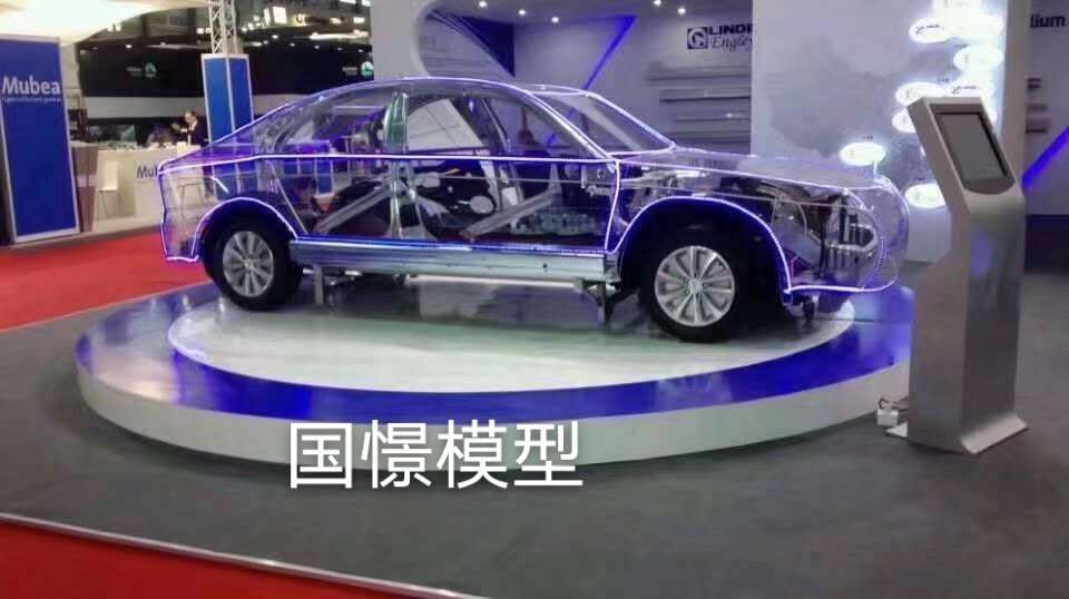 麻江县透明车模型